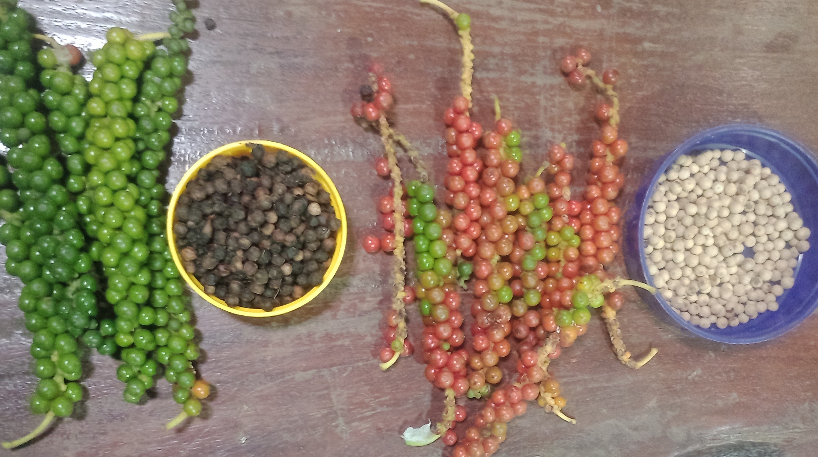 black pepper and white pepper